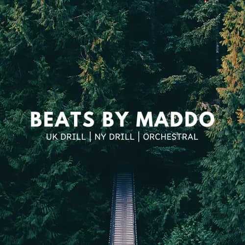 Aarit Singh | BeatStore Profile