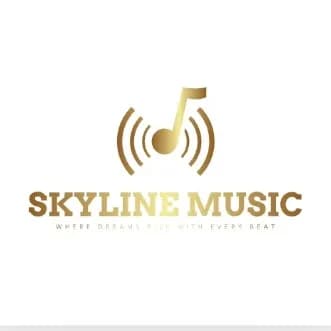 Skyline Music | BeatStore Profile