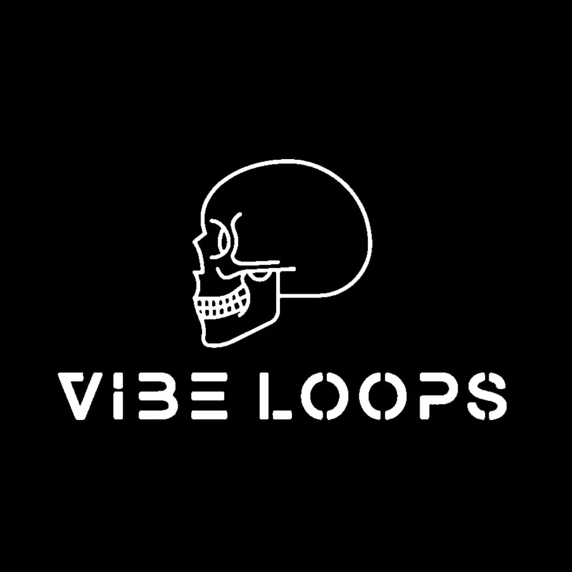 Vibe Loops | BeatStore Profile