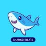 sharkeybeats | BeatStore Producer Profile