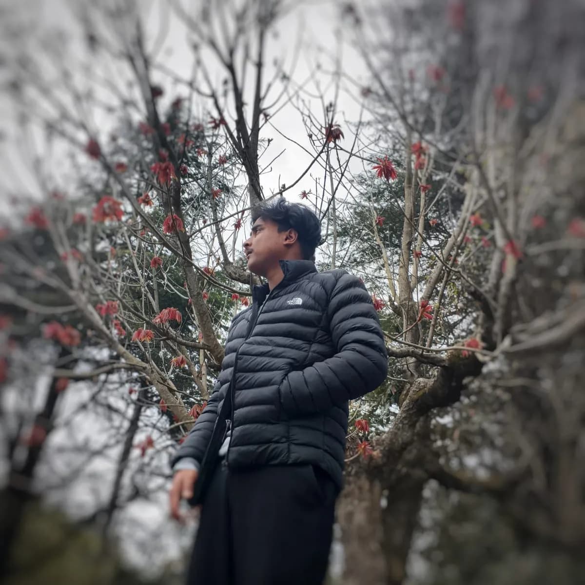 may_ankmusic | BeatStore Producer Profile
