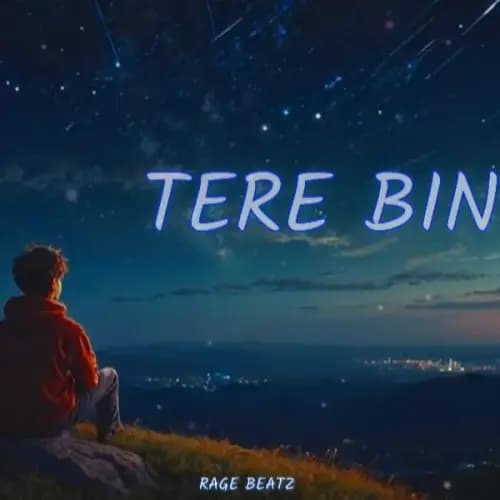 Tere Bin | Buy Beats and Samples | BeatStore