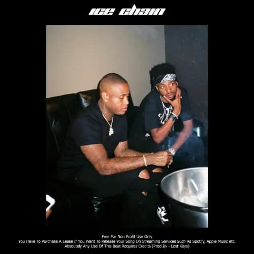 "ICE CHAIN" 808 Mafia Type | Buy Beats and Samples | BeatStore