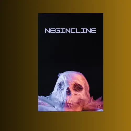 Negincline | Buy Beats and Samples | BeatStore