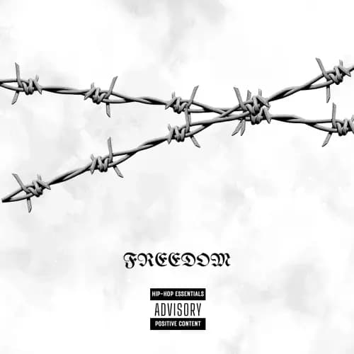 FREEDOM | Buy Beats and Samples | BeatStore