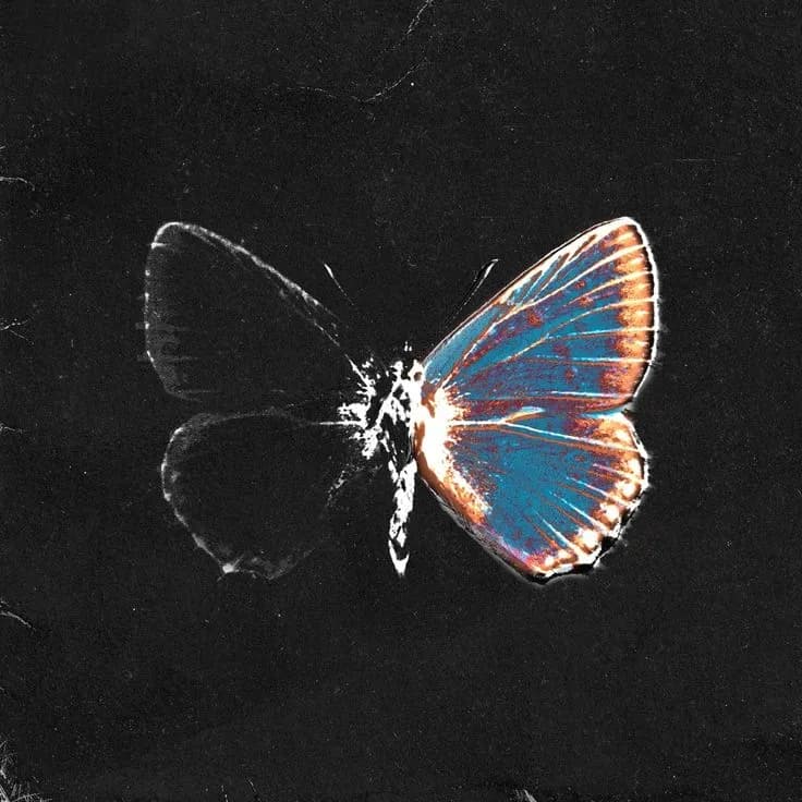 MOCKINGBIRD | Buy Beats and Samples | BeatStore