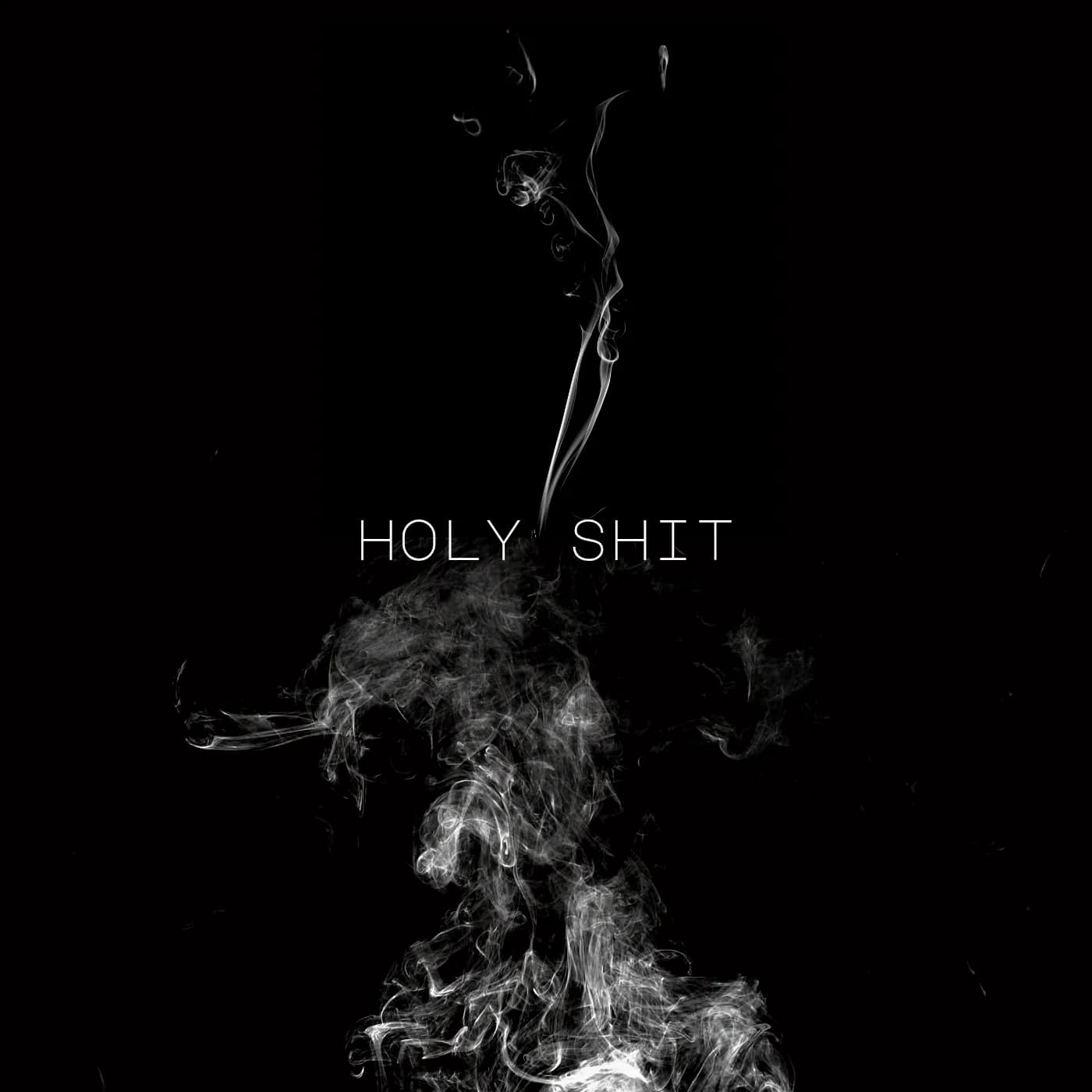 Holy Shit | Buy Beats and Samples | BeatStore
