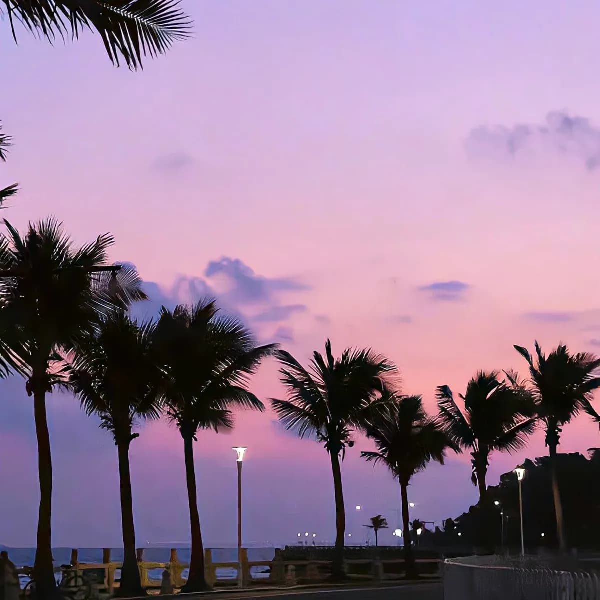 Mia | Buy Beats and Samples | BeatStore