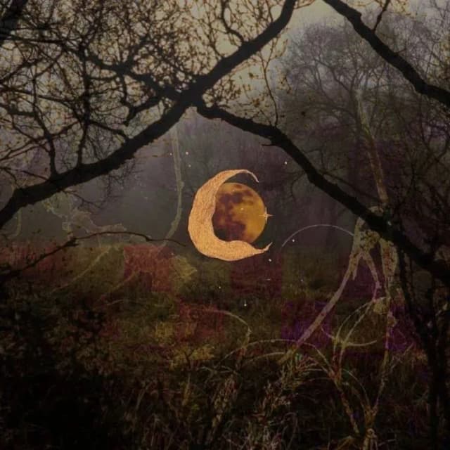 MOON | Buy Beats and Samples | BeatStore