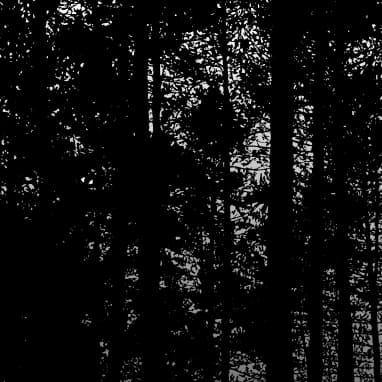 Dark Forest | Buy Beats and Samples | BeatStore