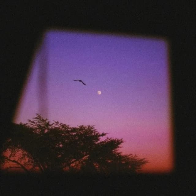 Lamhe | Buy Beats and Samples | BeatStore