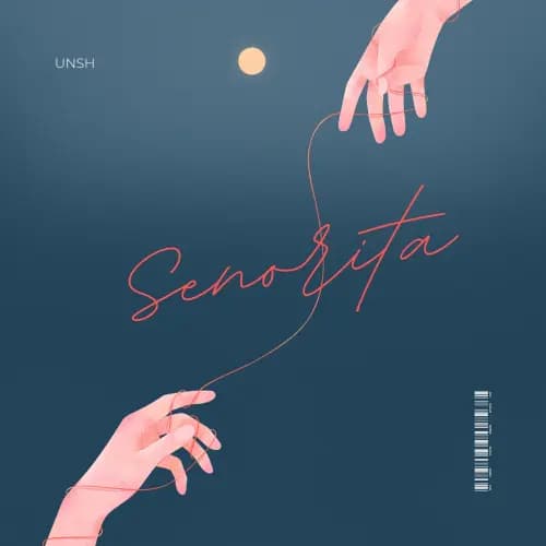 Senorita | Buy Beats and Samples | BeatStore